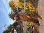 Ahsan Imtiaz 